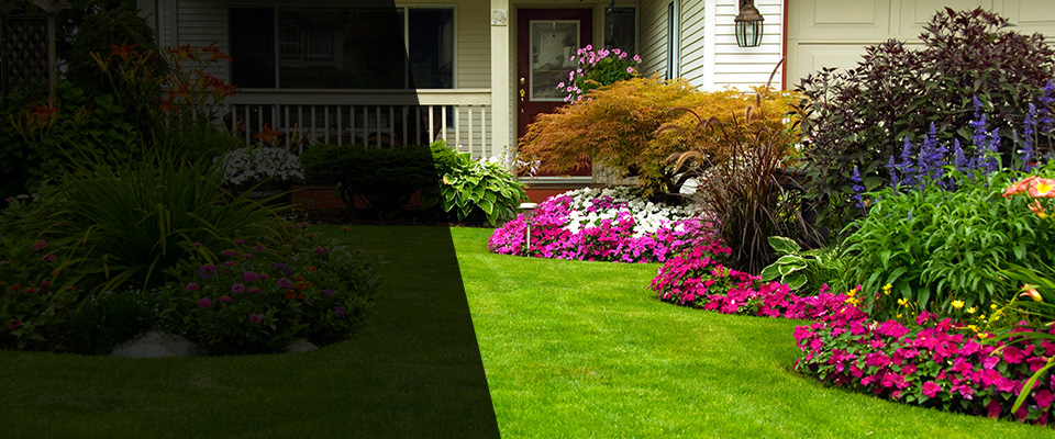 La Fayette Landscapers